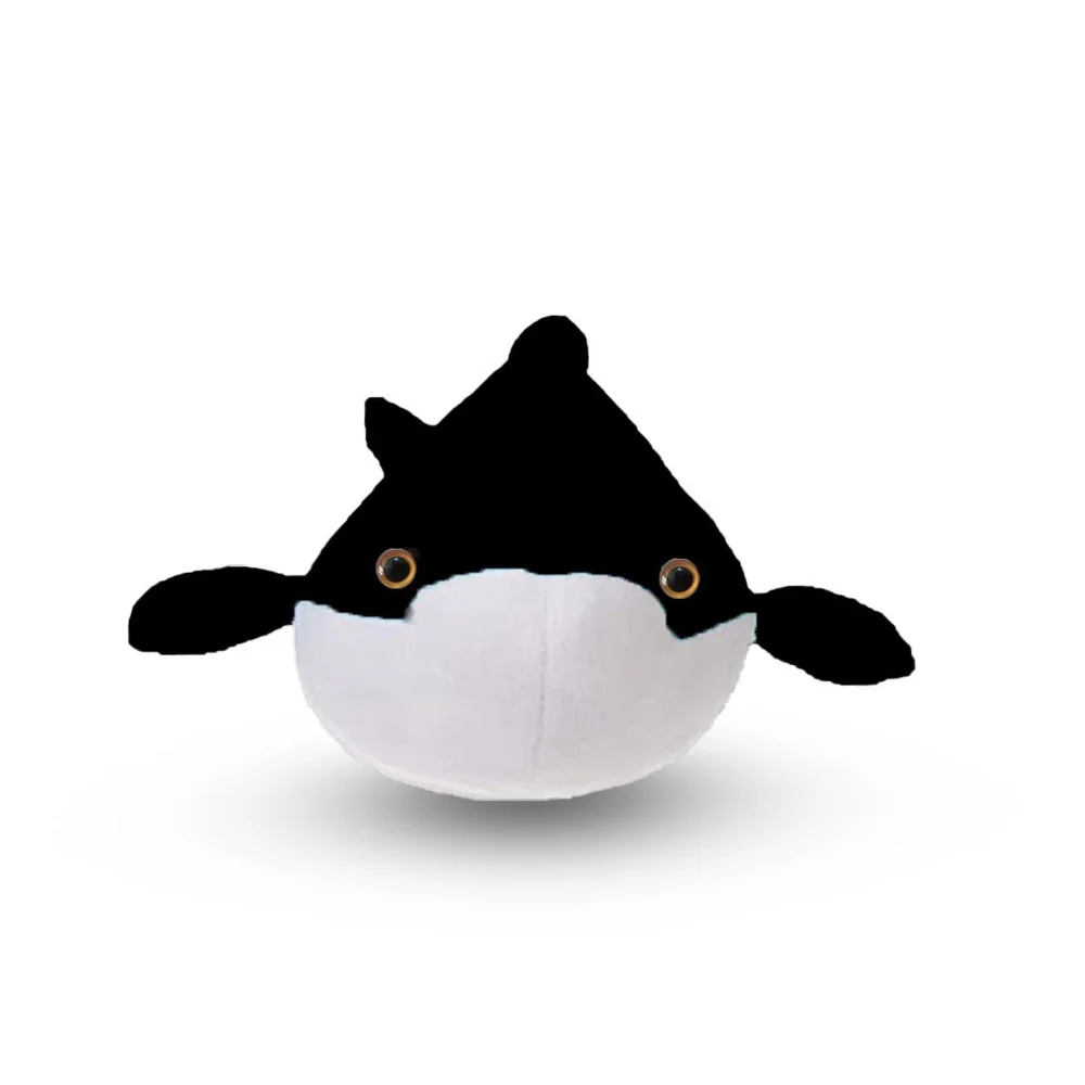 Toyingly Black Dolphin Plush/Soft Toy for Boys, Girls and Kids, Birthday Gift